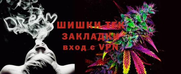 дмт Абаза