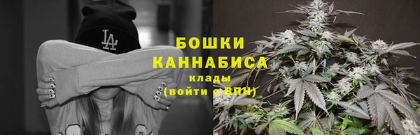 дмт Абаза