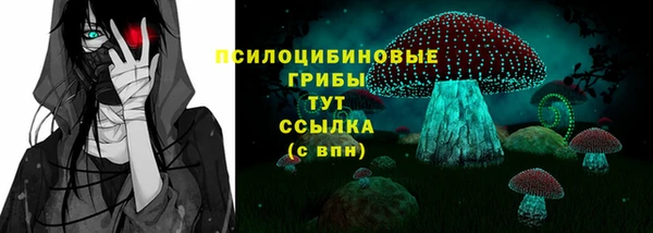 дмт Абаза