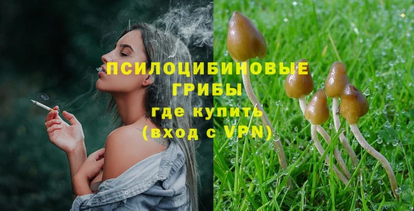 бошки Алексин
