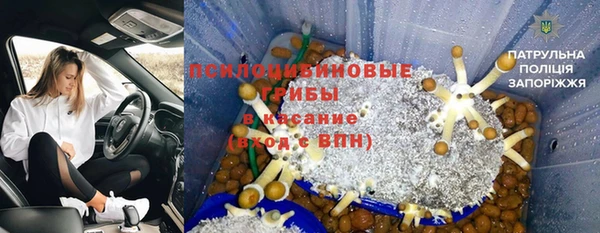 бошки Алексин