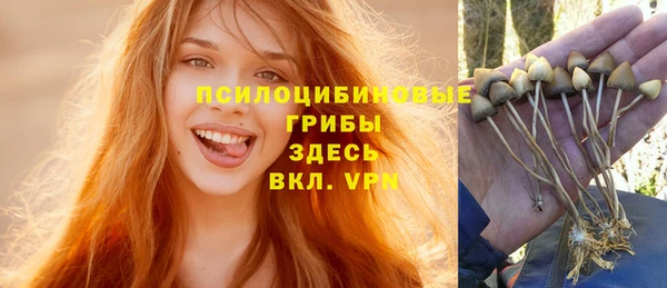 бошки Алексин