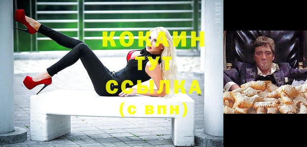 бошки Алексин