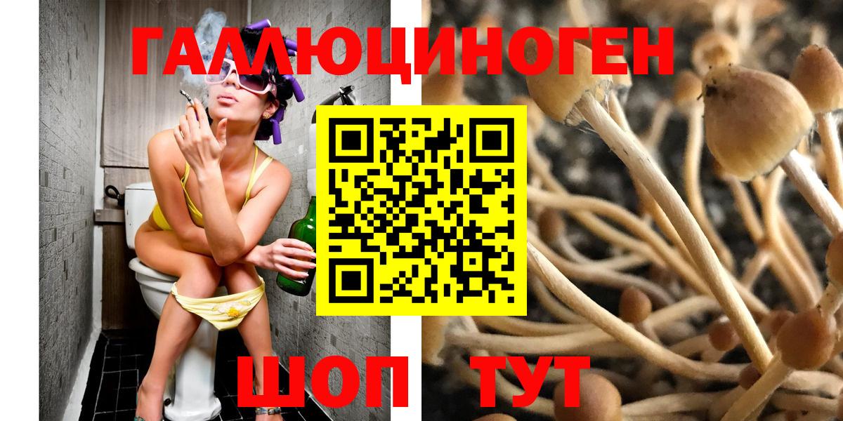 Псилоцибиновые грибы Psilocybe Каменка