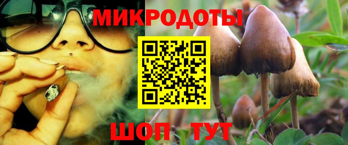 продажа наркотиков  Псилоцибиновые грибы мухоморы  Вход с VPN  Галлюциногенные грибы Psilocybe  Каменка 